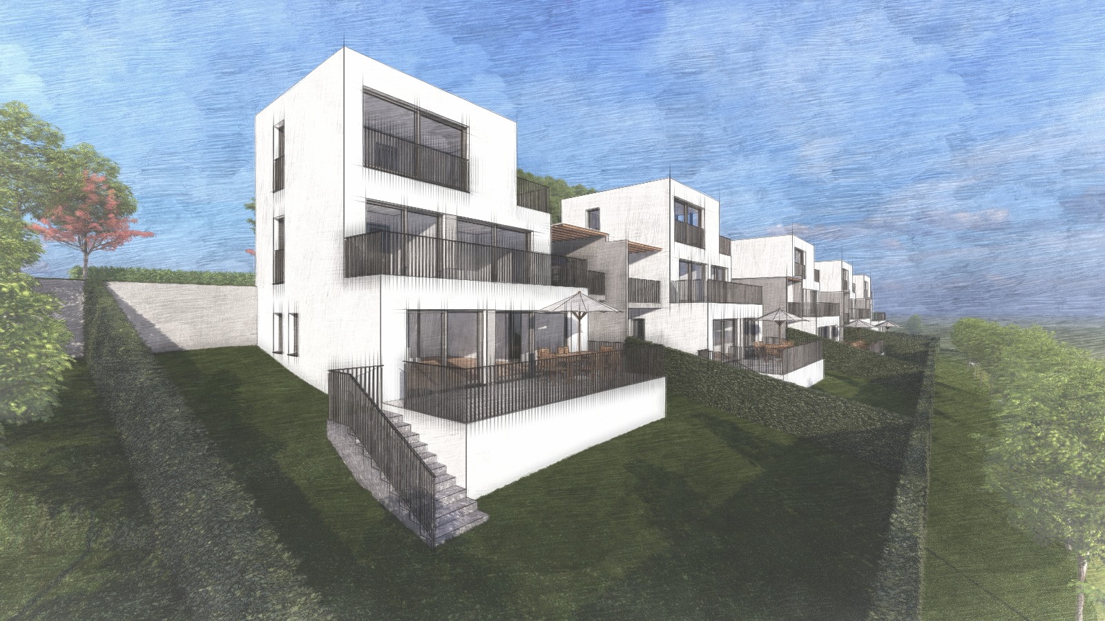 WhatsApp Image 2025-12-19 at 11.39.16 (3)